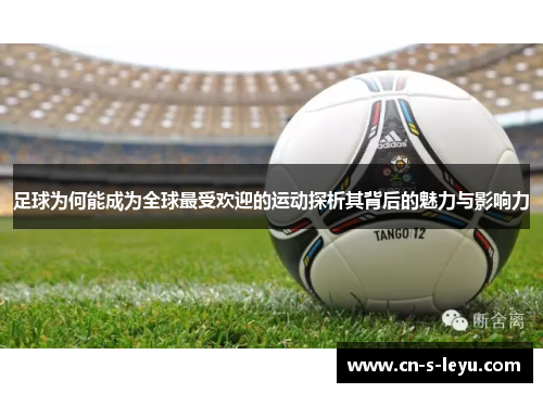 足球为何能成为全球最受欢迎的运动探析其背后的魅力与影响力