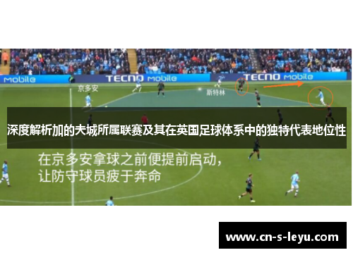 深度解析加的夫城所属联赛及其在英国足球体系中的独特代表地位性