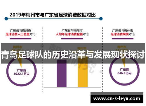青岛足球队的历史沿革与发展现状探讨