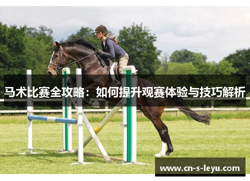 马术比赛全攻略：如何提升观赛体验与技巧解析