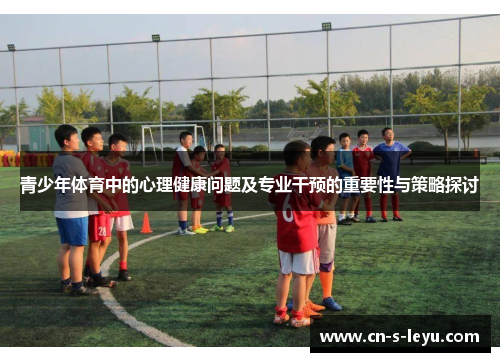青少年体育中的心理健康问题及专业干预的重要性与策略探讨
